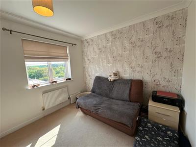 Picture 15